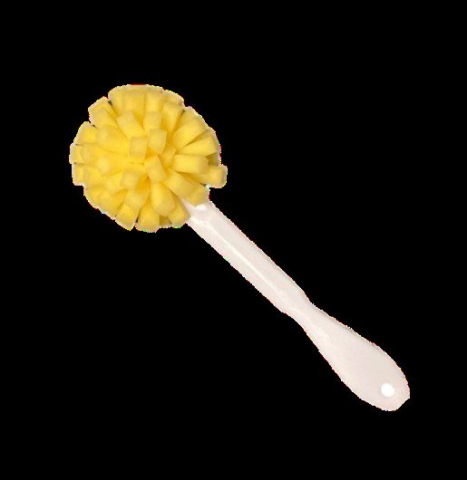 Sponge Brush